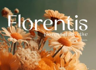 Castelia – Elegant Stylish Sans Font preview image 2