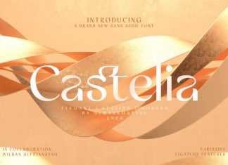Castelia – Elegant Stylish Sans Font preview image 1