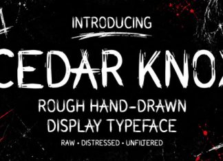 Cedar Knox Handcrafted Brush Font preview image 1