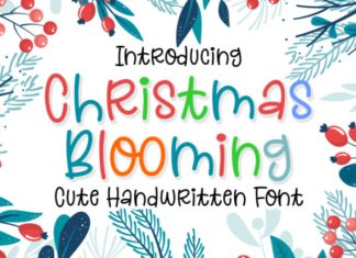 Christmas Blooming Font preview image 1
