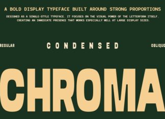 Chroma – Bold Condensed Font preview image 1
