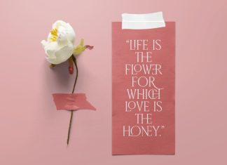 Classic Gallery – Claasic Condense Serif Font preview image 3