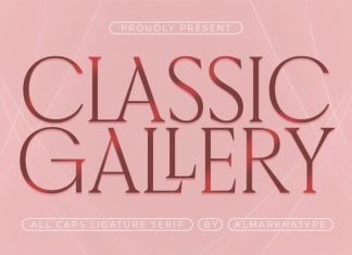Classic Gallery – Claasic Condense Serif Font preview image 1