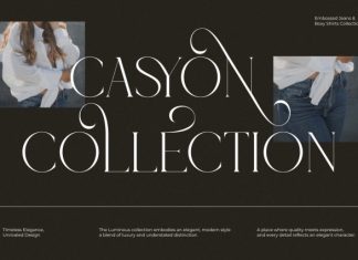 Classo – An Elegance Serif Font preview image 3