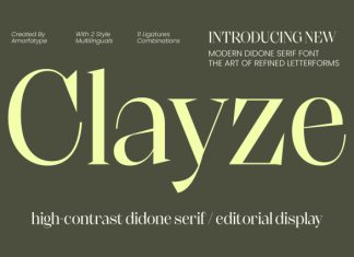 Clayze Font preview image 1