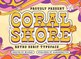 Coral Shore – Slab Serif Retro Font preview image 1