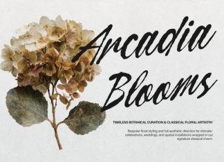 Curiousity Reuis Handwritten Script Font preview image 2