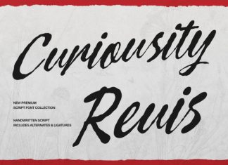 Curiousity Reuis Handwritten Script Font preview image 1