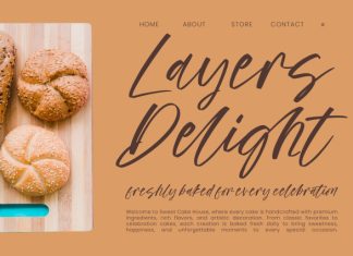 Delight Aurores Font preview image 3