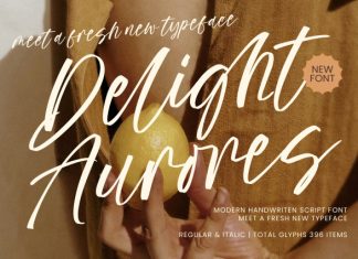 Delight Aurores Font preview image 1