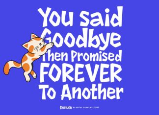 Denule – Playful Display Font preview image 3
