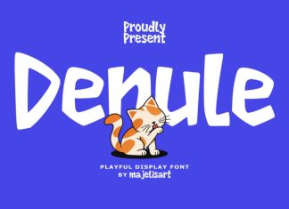 Denule – Playful Display Font preview image 1