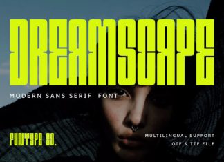 Dreamscape – Modern Sans Serif Font preview image 1