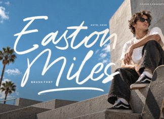 Easton Miles Modern Brush Font preview image 1