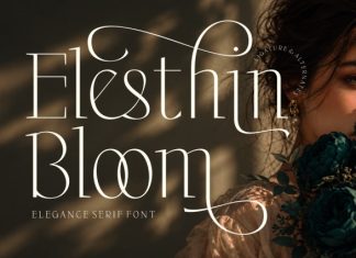 Elesthin Bloom Font preview image 1