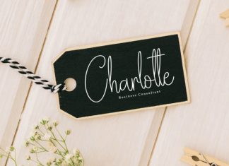 Embroidery Signature Font preview image 3