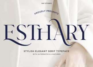 Esthary – Stylish Elegant Serif Font preview image 1