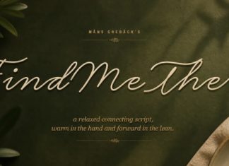 Find Me There Font preview image 1