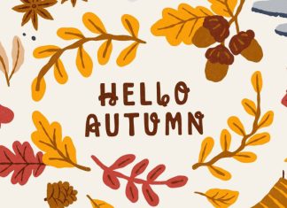 Golden Harvest Playful Display Font preview image 3