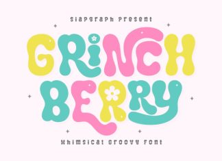 Grinch Berry – Playful Groovy Font preview image 1