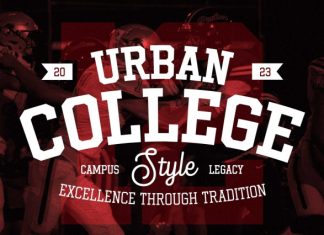 Gumbolt – Vintage Slab Serif Font preview image 3