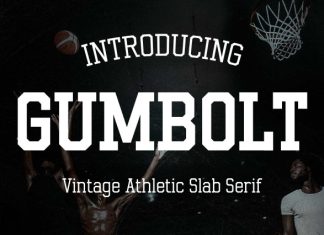 Gumbolt – Vintage Slab Serif Font preview image 1