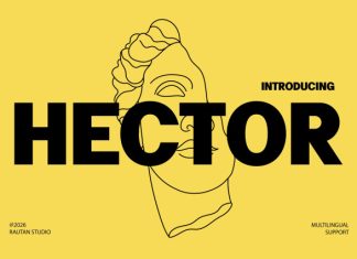 HECTOR – Modern Bold Display Font preview image 1