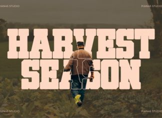 Harvest Varsity – Slab Serif Font preview image 3