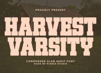 Harvest Varsity – Slab Serif Font preview image 1