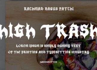 High Trash Font preview image 1