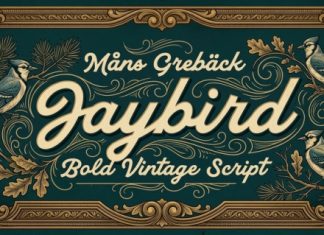 Jaybird Font preview image 1
