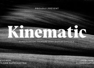 Kinematic – Timeless Serif Font preview image 1