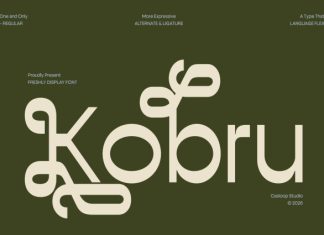 Kobru – Freshly Display Font preview image 1