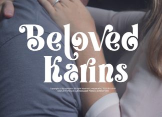 Lemonade Fresh – Display Font preview image 3
