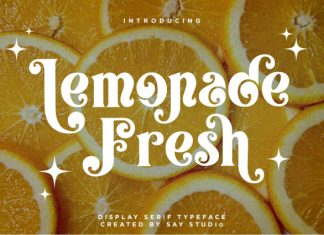 Lemonade Fresh – Display Font preview image 1
