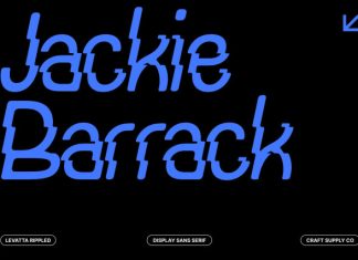 Levatta Rippled Font preview image 3