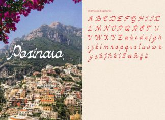 Macalimo Script Font preview image 2