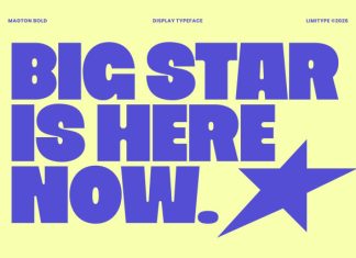 Magton – Bold Display Font preview image 2