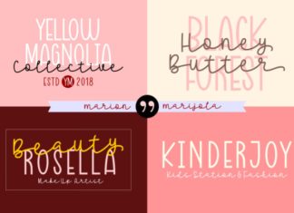 Marion Marijola Display Font preview image 2