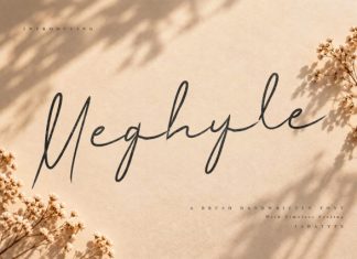 Meghyle – Stylish Brush Cursive Font preview image 1
