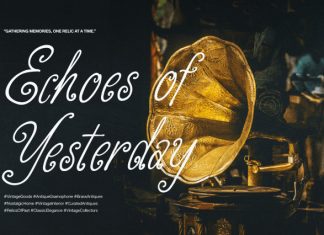 Nawiyla Handwritten Script Font preview image 2