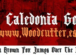New Caledonia Gothic Font preview image 1