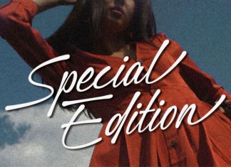 Nimbus Whale – Script Font preview image 3
