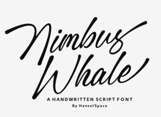 Nimbus Whale – Script Font preview image 1