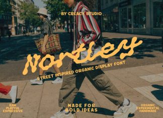 Nortley — Organic Street Display Typeface Font preview image 1