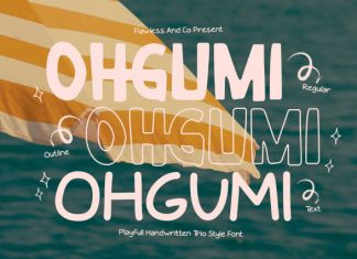 Ohgumi – Playful Display Trio Style Font preview image 1