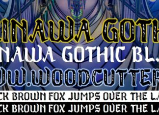 Okinawa Gothic Font  preview image 1