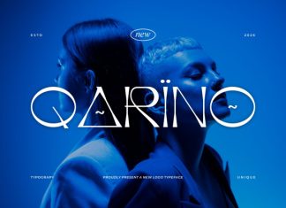 Qarino || Modern Classy Serif Font preview image 1