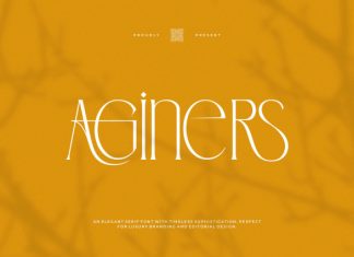 Aginers || Elegant Serif Font preview image 1