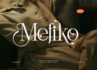 Mefiko || Elegant Stylish Serif Font preview image 1